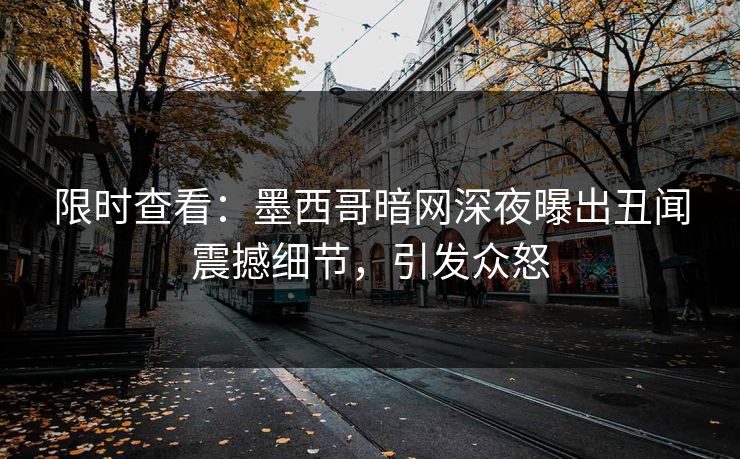 限时查看：墨西哥暗网深夜曝出丑闻震撼细节，引发众怒