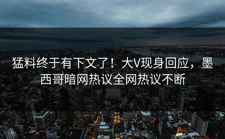 猛料终于有下文了！大V现身回应，墨西哥暗网热议全网热议不断