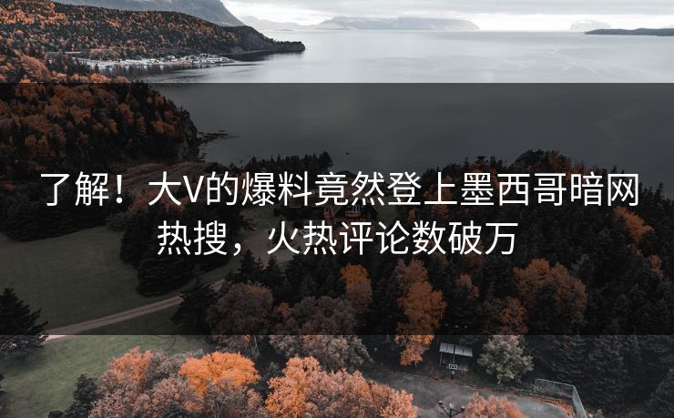 了解！大V的爆料竟然登上墨西哥暗网热搜，火热评论数破万