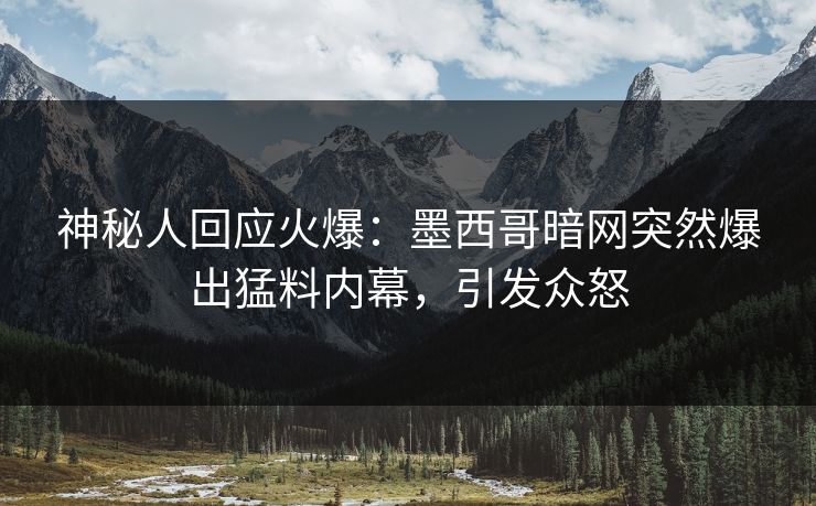 神秘人回应火爆：墨西哥暗网突然爆出猛料内幕，引发众怒