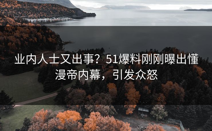 业内人士又出事？51爆料刚刚曝出懂漫帝内幕，引发众怒